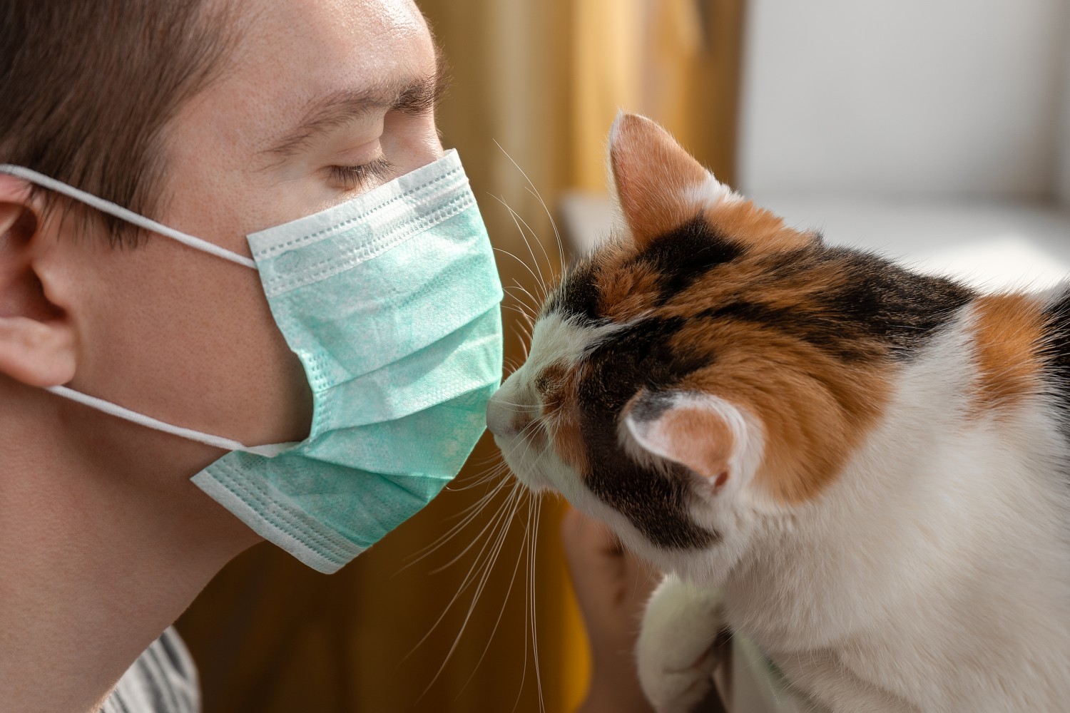 Doctor and Calico