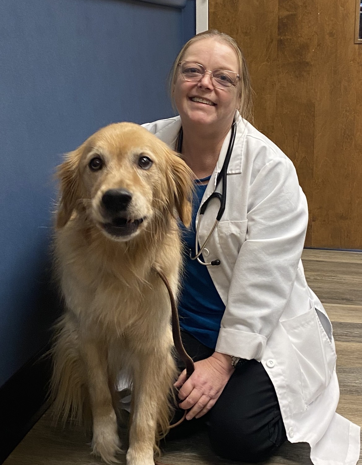 Dr Melissa Hudson - Northwoods Animal Hospital, Cary, NC Dr Melissa Hudson - Northwoods Animal Hospital, Cary, NC